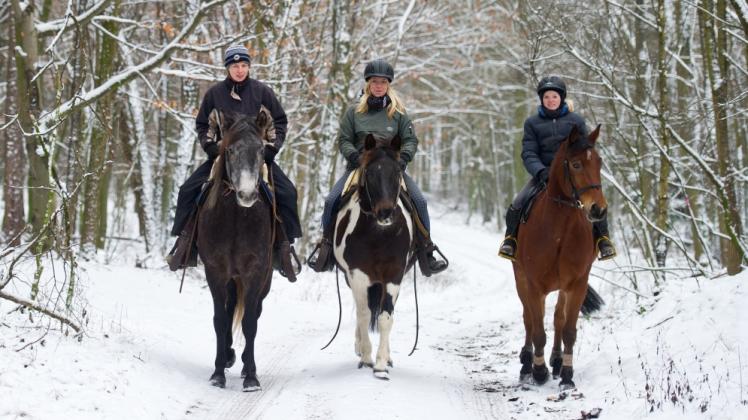 Trotz Schnee und Eis: Pferde wollen auch im Winter bewegt werden.  