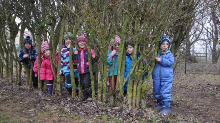 Warm angezogen fühlen sich Ben (v. l.), Enna, die sich gerade hinter Heidi versteckt, Niklas, Finja, Cathaleya, Lukas und Lukas von der Käfer-Gruppe draußen pudelwohl. Sie sind acht von insgesamt 242 Kindern, die in der Kita Wichtelstube von Leiterin Susanne Segeth und den 21 Erziehern betreut werden. 2013 hat das Gebäude einen modernen Hortanbau und 2014 dann einen Krippenanbau bekommen, damit auch alle genügend Platz zum Toben, Spielen und Lernen haben. Auf spielerische Art und Weise wird den Jüngsten hier all das nähergebracht, was sie im Alltag umgibt und interessiert. Aber auch Spaziergänge zum Pfarrhof und die regelmäßigen Feste sorgen neben den täglichen Spieleinheiten auf dem großen Hof für Abwechslung und jede Menge Spaß. Warm angezogen fühlen sich Ben (v. l.), Enna, die sich gerade hinter Heidi versteckt, Niklas, Finja, Cathaleya, Lukas und Lukas von der Käfer-Gruppe draußen pudelwohl. Sie sind acht von insgesamt 242 Kindern, die in der Kita Wichtelstube von Leiterin Susanne Segeth und den 21 Erziehern betreut werden. 2013 hat das Gebäude einen modernen Hortanbau und 2014 dann einen Krippenanbau bekommen, damit auch alle genügend Platz zum Toben, Spielen und Lernen haben. Auf spielerische Art und Weise wird den Jüngsten hier all das nähergebracht, was sie im Alltag umgibt und interessiert. Aber auch Spaziergänge zum Pfarrhof und die regelmäßigen Feste sorgen neben den täglichen Spieleinheiten auf dem großen Hof für Abwechslung und jede Menge Spaß.