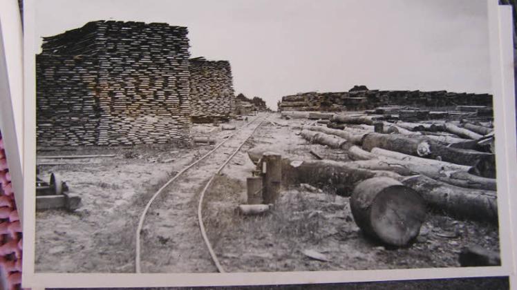 Das Bild aus der Sammlung Kelling zeigt eines der vier Holzlager in Warin. Welches: Busch&Freitag oder Hackendahl? 