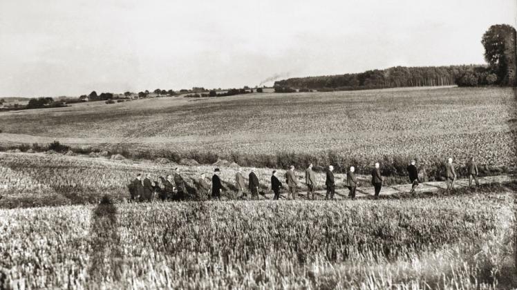 Die Feldflüchters auf Landpartie in der Nähe von Herren Steinfeld  Repro: Thomas Helms 