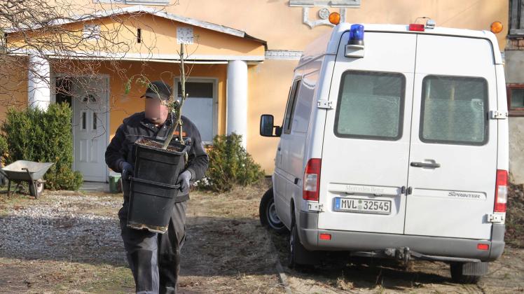 Polizeirazzia bei Neubukow sorgt für dicken Drogenfund - über 1.000 Cannabis-Pflanzen in Haus in Kirch Mulsow entdeckt - 26-Jähriger vorläufig festgenommen - 42-Jähriger flüchtig