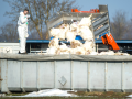Kostete bislang zehntausenden Tieren das Leben: Seit November grassiert in Mecklenburg-Vorpommern die Vogelgrippe.  