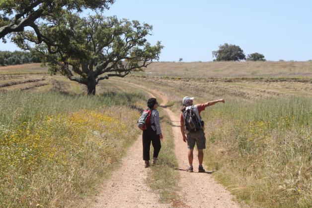 Korkeichen, Blumenwiesen und Getreidefelder passieren Wanderer auf ihrem Weg durch das hügelige Alentejo im äußersten Südwesten Portugals.