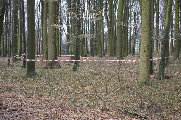 Polizeiabsperrung im Schäferbruch: In diesem Bereich wurde die Babyleiche von Spaziergängern entdeckt. Polizeiabsperrung im Schäferbruch: In diesem Bereich wurde die Babyleiche von Spaziergängern entdeckt.