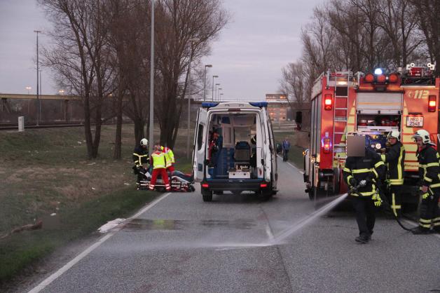 Ungewöhnlicher Wildunfall in Rostock: Trächtiges Reh springt in Motorradfahrer - Mann bricht sich beide Beine - Ricke getötet Ungewöhnlicher Wildunfall in Rostock: Trächtiges Reh springt in Motorradfahrer - Mann bricht sich beide Beine - Ricke getötet