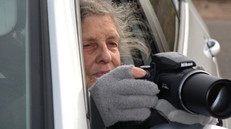 Kranichbeobachterin im Einsatz: Aus ihrem Auto heraus fotografiert Karin-Ose Röckseisen die Vögel. Kranichbeobachterin im Einsatz: Aus ihrem Auto heraus fotografiert Karin-Ose Röckseisen die Vögel.