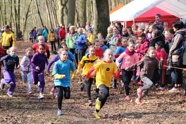 11-hagenower-fruehjahrscross-hagenow-bekow-am-rodelberg-hagenow_17758019.jpg 11-hagenower-fruehjahrscross-hagenow-bekow-am-rodelberg-hagenow_17758019.jpg