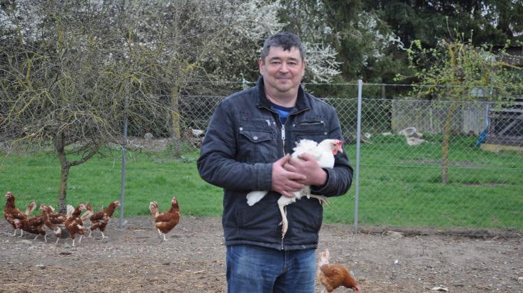 Hendrik Lobbe hält auf seinem Hof in Spornitz 900 Hühner  