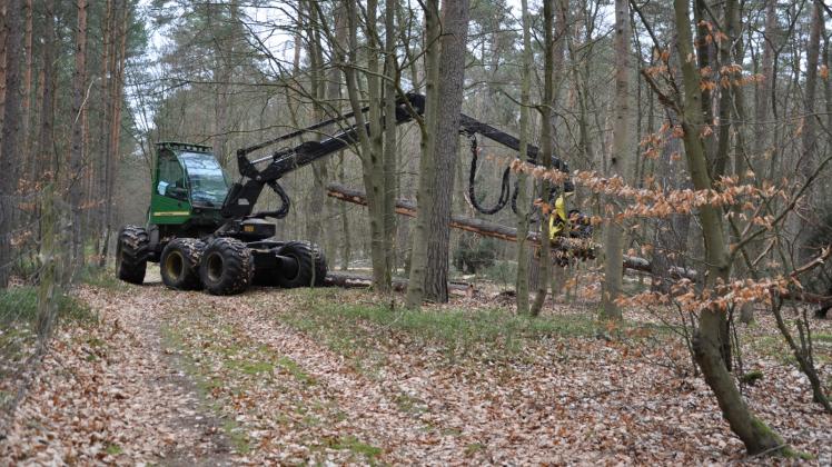 Wie Streichhölzer fällt der Harvester die Bäume. Wie Streichhölzer fällt der Harvester die Bäume.