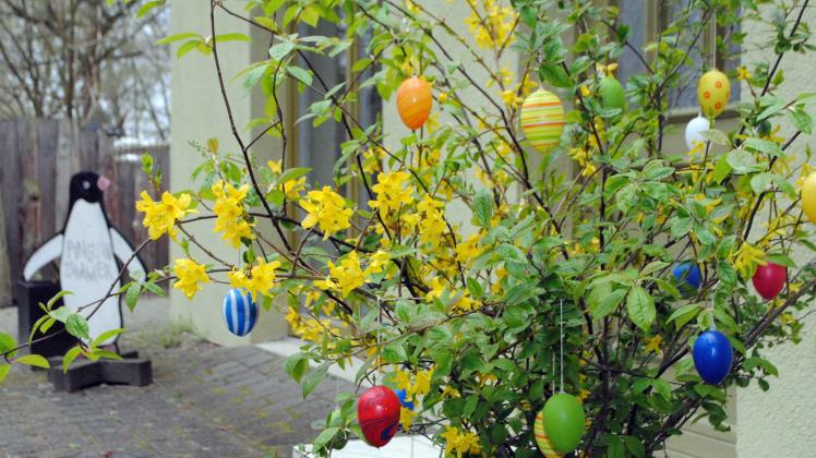 Bunte Eier, farbige Sträuße: Der Schweriner Zoo ist an vielen Orten seit Tagen bereits österlich geschmückt.