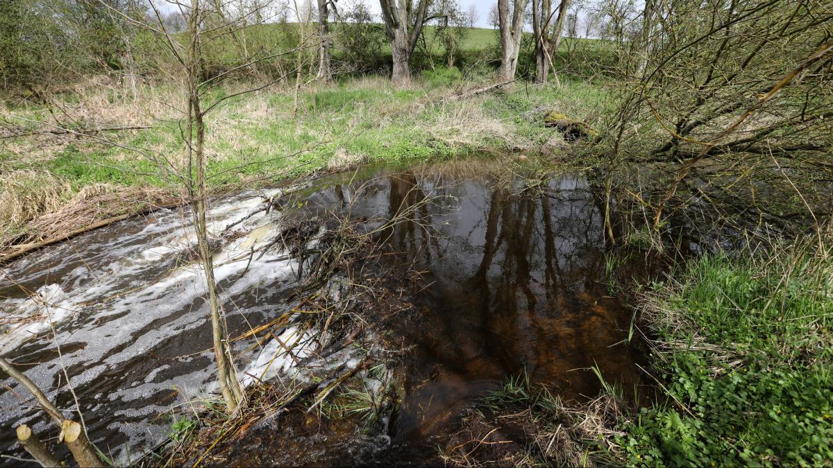 Wasser und Bodenverbände landesweit auf Kontrolltour SVZ