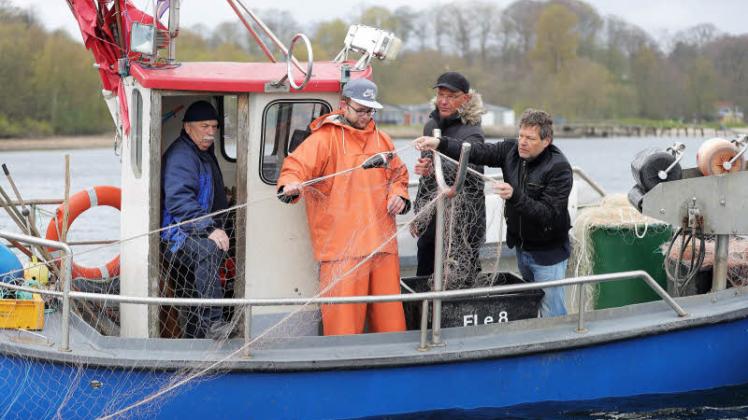 Praxistest: „Wa(h)lkämpfer“ Habeck hilft beim Auslegen eines Stellnetzes mit dem neuen Warngerät, links Horst Sorge, Ragna Lüthje (Fischereiverein) und Boris Culik. 