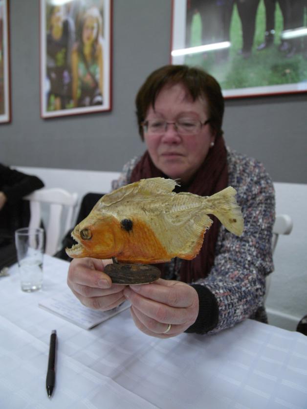Hannelore Weiland vom Förderverein Kirche Kuppentin blickt skeptisch auf einen Piranhafisch.  Fotos: Monika-Maria Degner 
