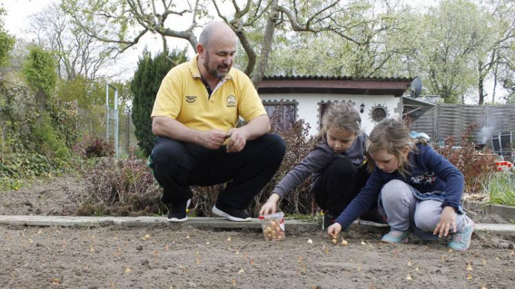 Robert Grau übernahm im vorigen Jahr einen Kleingarten in der Anlage „Erholung“. Die Steckzwiebel müssen jetzt in den Boden, dabei bekommt er Hilfe von Maria und Clarice. 