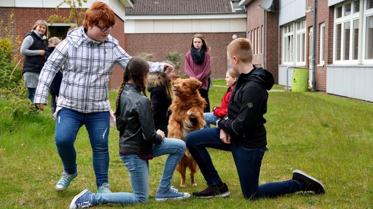 Die 13-jährige Chantal (l.) lotst den sechsjährigen „Toller“-Rüden „Versace“ mithilfe von Hundeleckerli um und über ihre Mitschüler herum.  