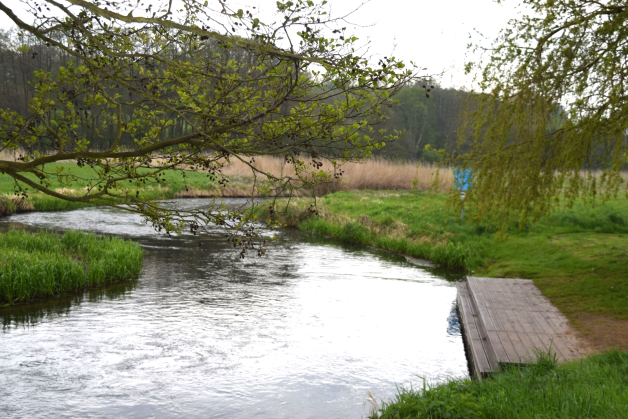 Die Einsetzstelle in Weitendorf ist die beliebteste an der Warnow. Die Einsetzstelle in Weitendorf ist die beliebteste an der Warnow.