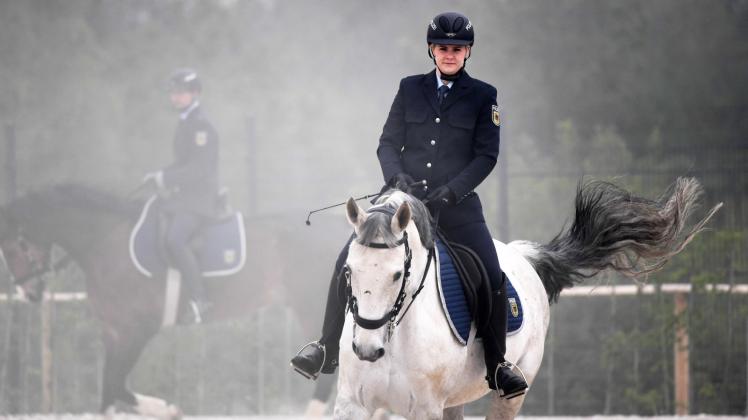 25 Pferde und 37 Reiter zählt die Reiterstaffel der Bundespolizei.  