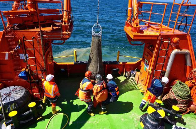 Kraftakt: Beim Muschel-Dretschen wird das Netz über den Meeresboden gezogen, der Schlickfang dann an Bord ausgeschüttet und mit Schaufeln in Eimer abgefüllt zum Sieben und Sortieren.