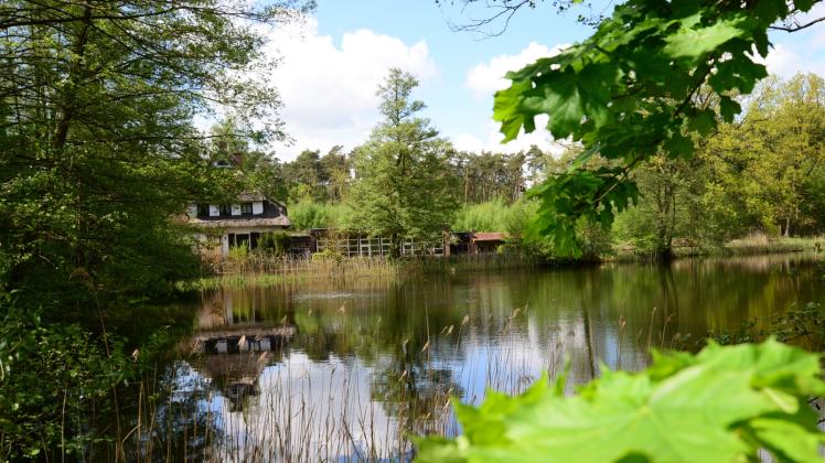 Der idyllische Mühlenteich  