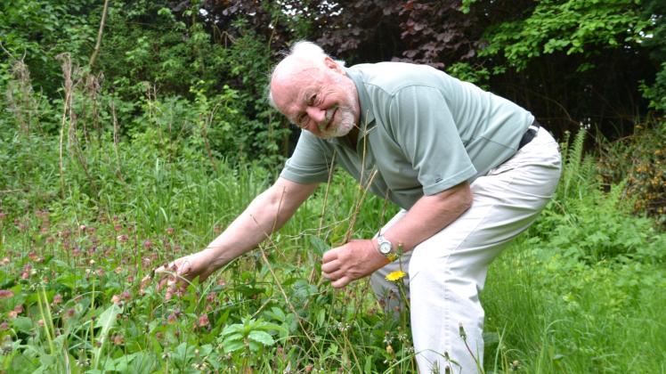 Der Nabu-Vorsitzende Uwe Langrock zeigt in seinem Garten einige der bei Hummeln sehr beliebten Blumen.  