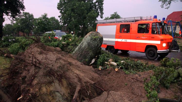Einige Bäume wurden bei dem Sturm komplett entwurzelt. Fotos: Michael-Günther Bölsche