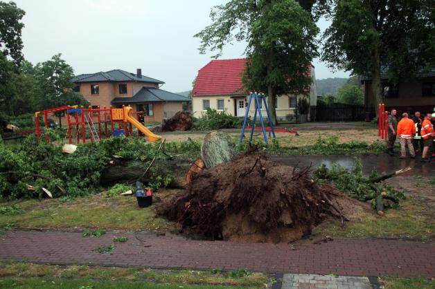 Unwetterschäden in Suckow: Viele Bäume stürzten am Dienstagabend um. Die Geräte auf dem Dorfspielplatz wurden auch getroffen. Unwetterschäden in Suckow: Viele Bäume stürzten am Dienstagabend um. Die Geräte auf dem Dorfspielplatz wurden auch getroffen.