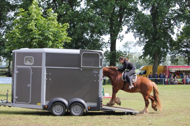 Horsemanship – Vertrauen zwischen Pferd und Mensch. Philine Dietrich reitet das Pferd in den fahrenden Transporter.