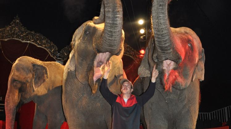 Ein Auftritt mit Elefanten wie im Februar 2013 von Amando Renz ist auf Rostocks Flächen derzeit nicht möglich. 