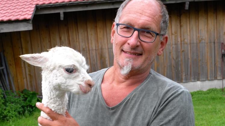 Thomas Steinbeck aus Krusendorf präsentiert stolz Naomi, ein fast drei Wochen altes Alpaka-Baby, das mit der Flasche aufgezogen worden ist.  