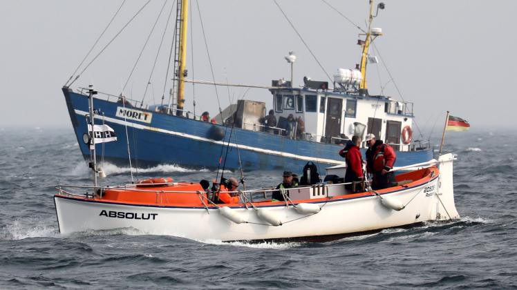 Boote mit Dorschanglern vor Warnemünde  