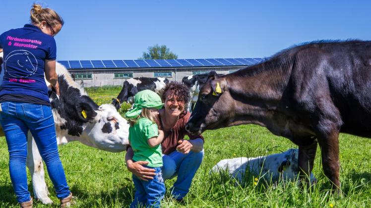 „Tempo runterfahren“: Jessica Schroth mit einem Besucherkind inmitten ihrer Therapie-Kühe auf der Weide 