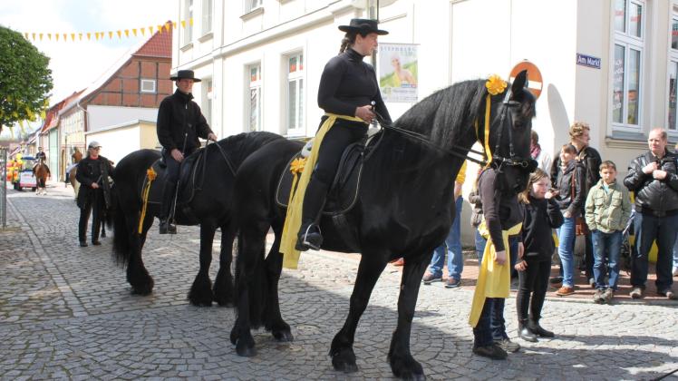 Birthe Helbing und Birte Nemitz sind mit ihren „Schwarzen“ schon oft in Festumzügen durch Sternberg mitgelaufen. Die schmucken Tiere erregen immer wieder die Aufmerksamkeit der Straßenpassanten. Fotos: Traudel Leske 