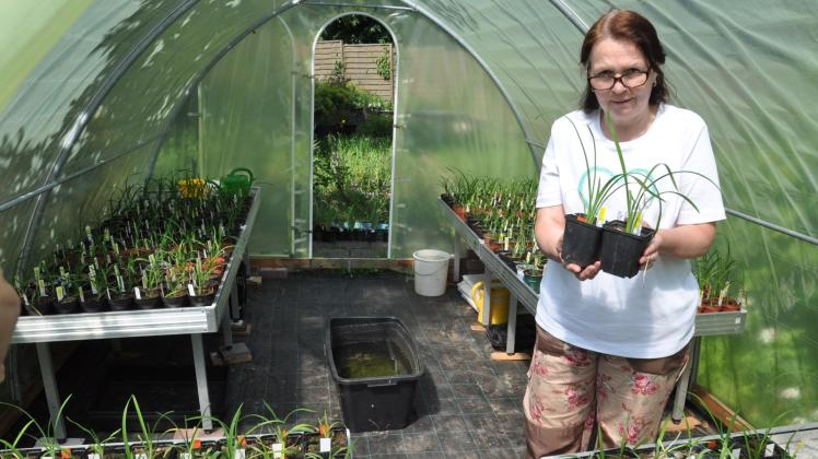 Astrid Witt züchtet Taglilien. Am Wochenende können Interessenten ihren Garten besuchen.  