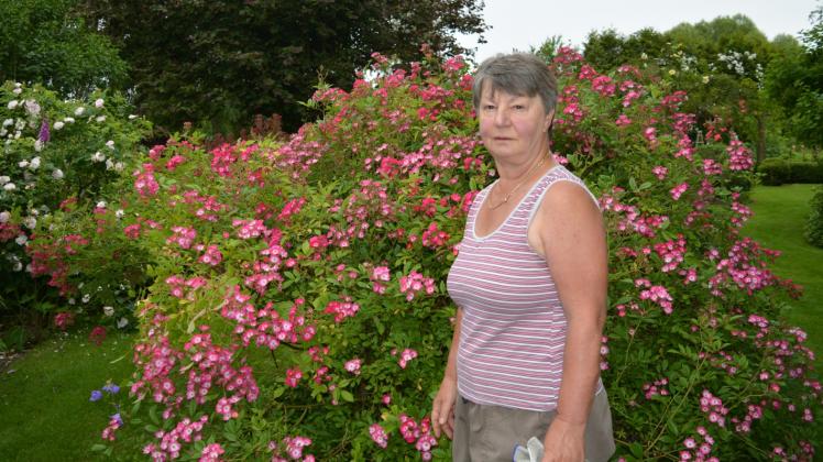 Marlis Dorn vor der Rose mit Namen „Mozart“ 