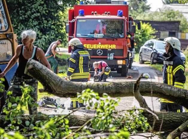 Freiwillige Helfer und Feuerwehrleute räumen  auf einer Straße bei Wittenburg umgestürzte Bäume zur Seite.