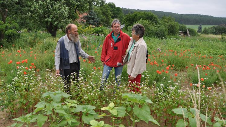 Mit seinem Garten „Waldschradskraut“ in Penzin erüllt sich für Bernd Fügert (l.) „ein Wunschtraum“, wie er sagt. Bärbel und Hans-Joachim Hogrefe aus Zahrensdorf sind am Sonnabend seine ersten Besucher beim Tag der offenen Gartentür.  Fotos: Rüdiger Rump 