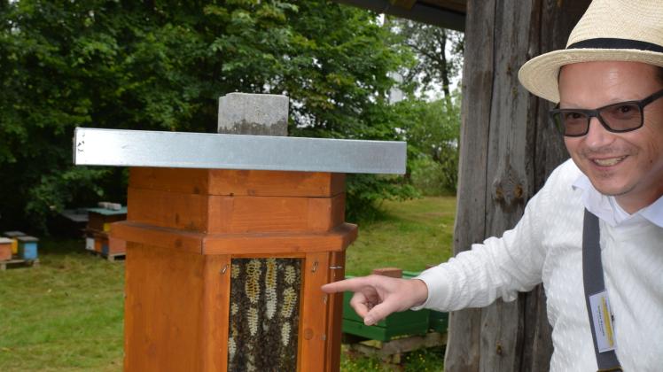 Volker Kunath zeigt, wie Bienen ihre Waben bauen. 