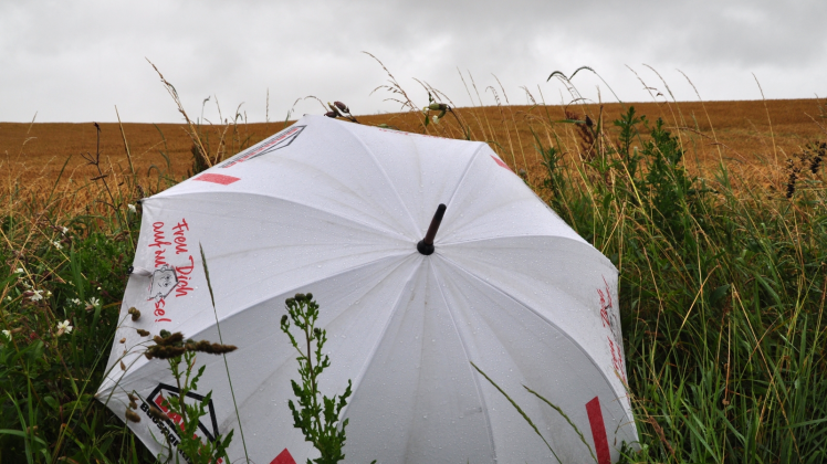 Hätten Landwirte dieser Tage am liebsten riesige Schirme über ihren Getreide- oder Rapsfeldern aufgespannt? Berthold Löbel aus Mustin kann mit den reichlichen Niederschlägen noch gut leben, hofft aber für trockenes Wetter zum Erntebeginn in zehn Tagen.  
