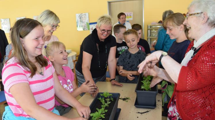 Studentenblumen als Vorgeschmack: Mit den Stiftungsgeldern wird die Gartenarbeit am Seniorenzentrum ausgebaut.  