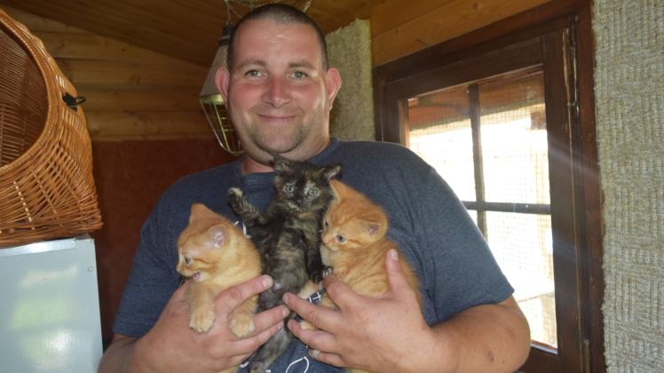 Kümmert sich um den Nachwuchs der Katzen beim Schwaaner Tierschutzverein: Bundesfreiwilligendienstleistender Reiko Neumann.   