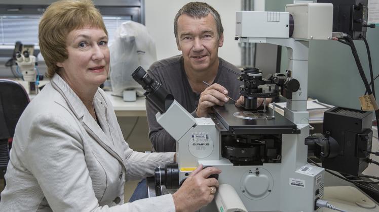 Professor Hendrik Schubert und seine Kollegin Dr. habil. Irena V. Telesh aus St. Petersburg im Labor beim Vorbereiten einer Zooplanktonprobe für das Laserscrining-Mikroskop.   