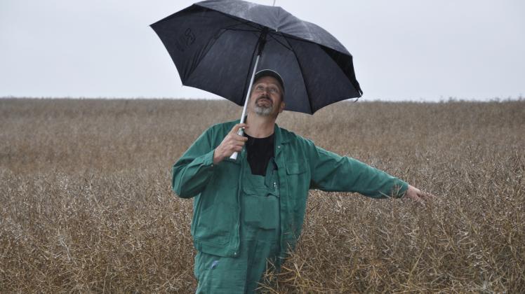 Wann nur hört endlich der Regen auf, fragt sich Volker Winkler, Abteilungsleiter und Vorstandsmitglied der Agrargenossenschaft e.G. Köchelstorf wenn er an die bevorstehende Rapsernte denkt.  Fotos: Peter Täufel 