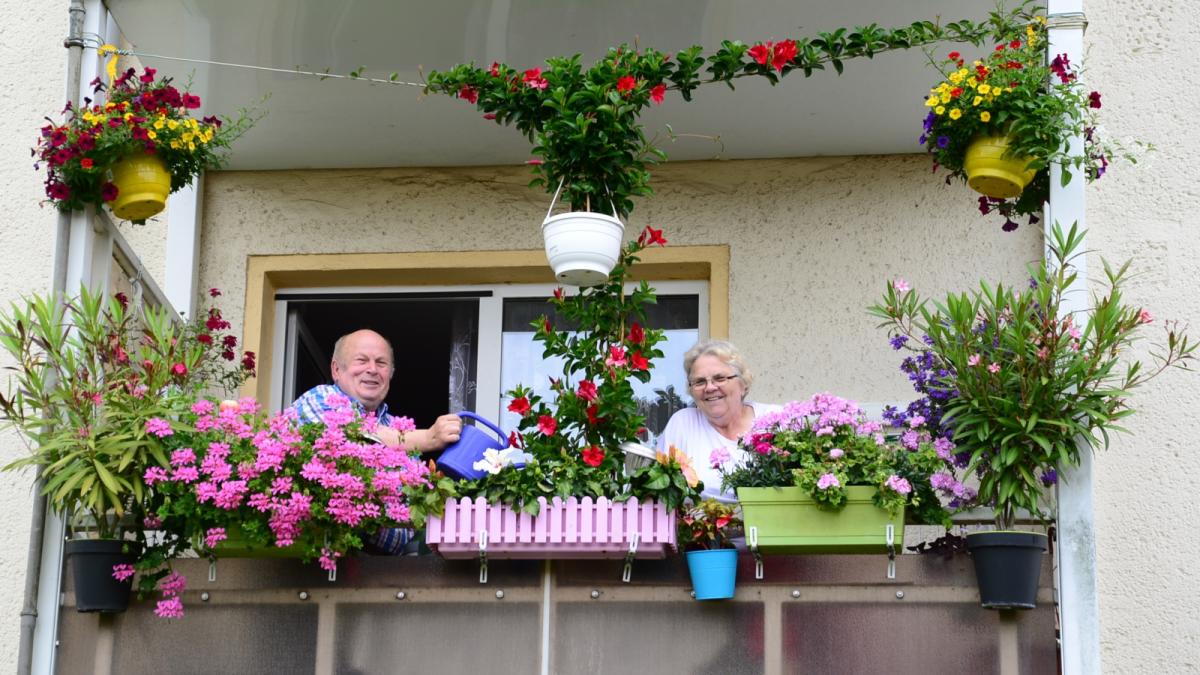 Unser Balkon Ein Kleines Paradies Svz