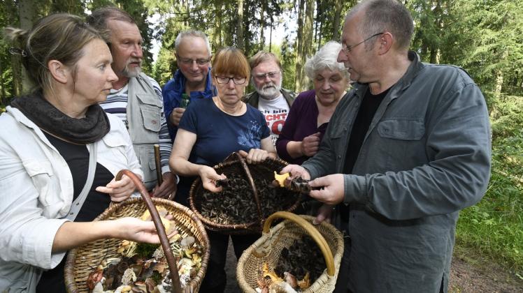 Stippvisite im Wald: Für Kochtopf-Pilzsammler reichen die Funde bislang nicht. Dennoch freuen sich die Mitglieder des Rehnaer Pilzvereins unter Leitung von Torsten Richter (r.) über ihre Entdeckungen.