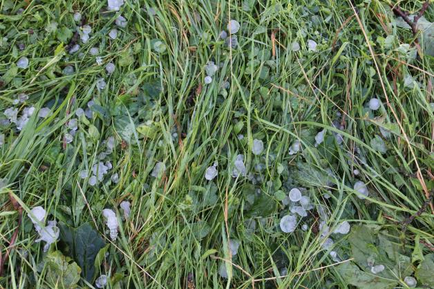Heftiges Unwetter zwischen Wolgast und Greifswald Heftiges Unwetter zwischen Wolgast und Greifswald