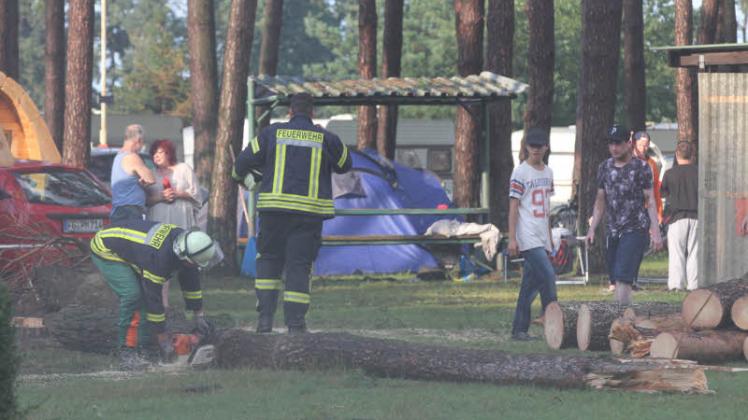 Böen bis zur Windstärke elf trafen den Waldcampingplatz in Freest.  Fotos: Tilo Wallrodt 