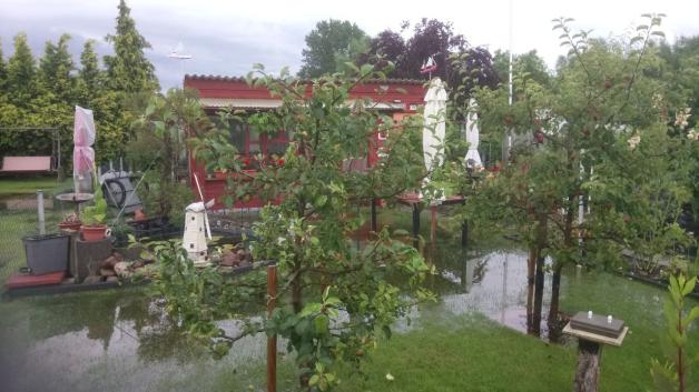 Das viele Regenwasser fließt nicht mehr ab, sodass die Gärten unter Wasser standen.  