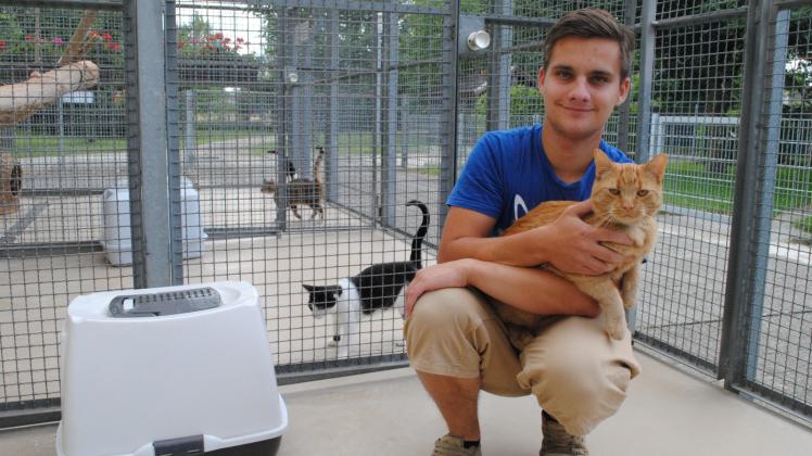 Hannes Krüger beendet demnächst sein Freiwilliges Ökologisches Jahr im Tierheim. Kater Fuchsi mag er besonders. Als „Erinnerung„ hat er sich eine schokobraune Katze mitgenommen.  