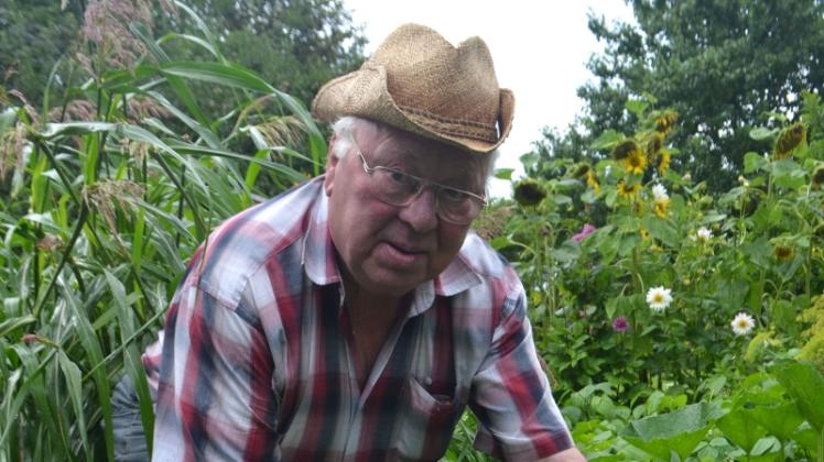 Bald reif für die Ernte: Ludwig Viehmeyer rückt den Kürbissen zu Leibe.  Fotos: Wibke Niemeyer 