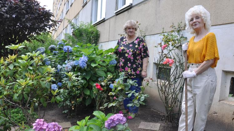 Um Farbe ins Wohnviertel zu bringen, pflegen Sabine Gartz (r.) und Renate Hoyer ihren Garten in der Hamburger Allee. 